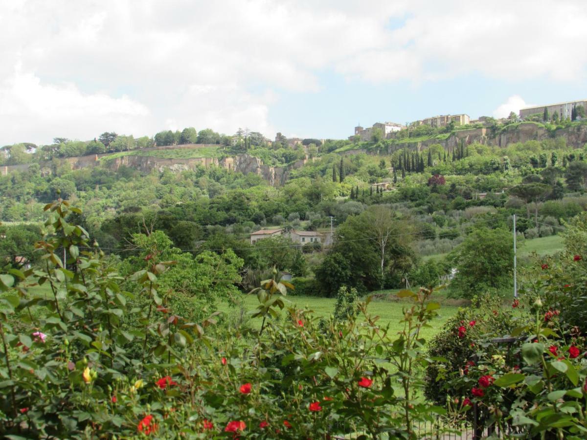 Casa Angolo Delle Rose Orvieto Luaran gambar